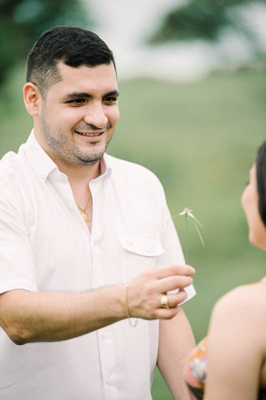 Descripción de la imagen 12